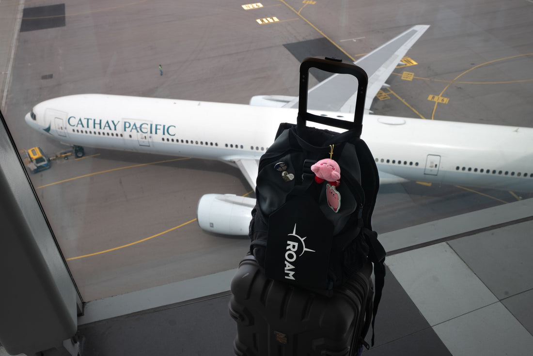Roam Luggage Strap